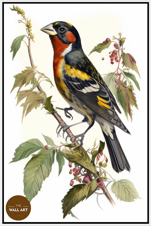 images/products/grosbeak_bird_iii/Grosbeak_bird III_WHITE.jpg